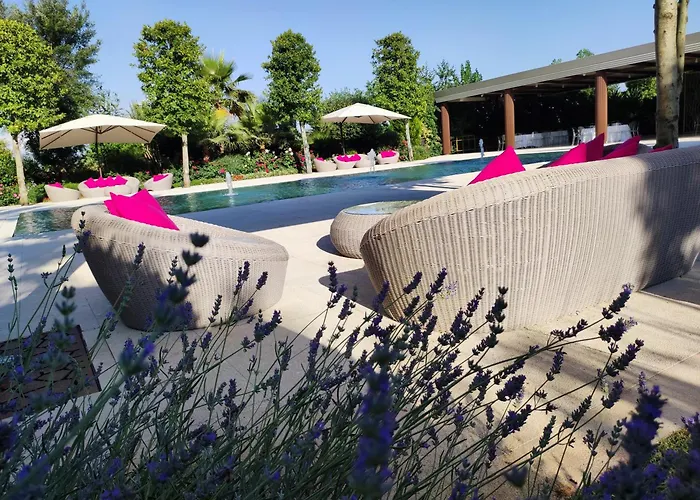 利欧拉酒店 酒店