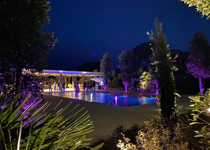 酒店 利欧拉酒店 4*